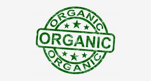 Stylish and Sustainable Organics