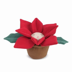 Pretty Poinsettia Pot