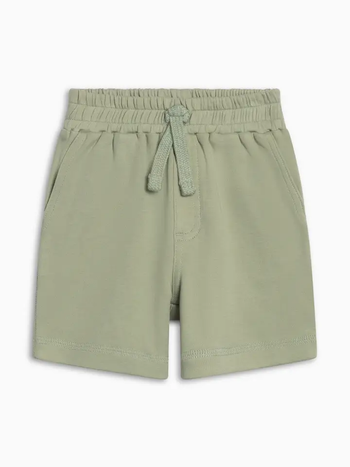 Colored Organics Dane Shorts - Mint
