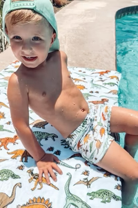 * Dinosaur Dream Swim Shorties
