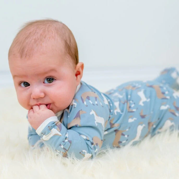 Zip Footie / Ponies Please