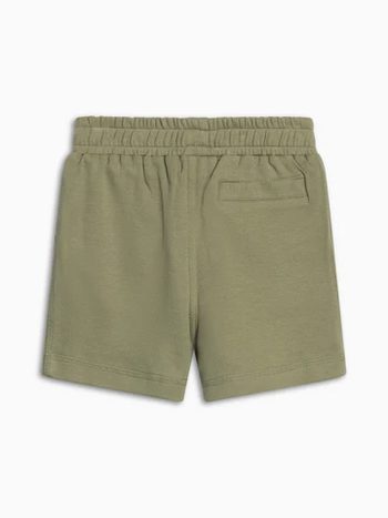 Colored Organics Dane Shorts - Fern