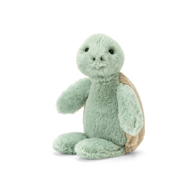 Bashful Turtle