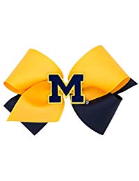 Two-Toned U of Michigan Bow / King